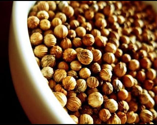 Sunnah Coriander