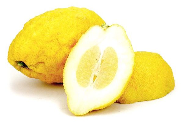 Sunnah Citron Utrujj